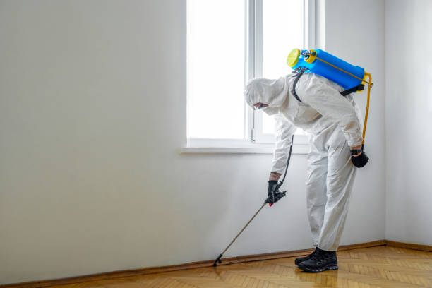 Best Emergency Pest Control  in Merryville, LA